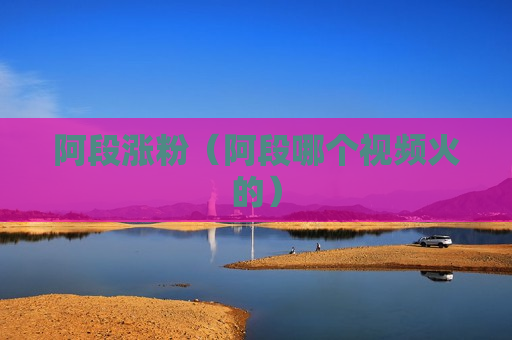 阿段涨粉（阿段哪个视频火的）