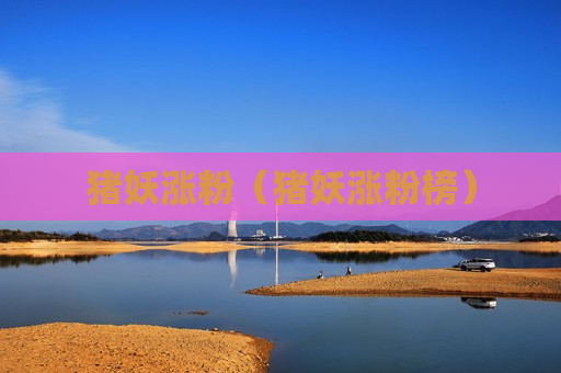 猪妖涨粉（猪妖涨粉榜）