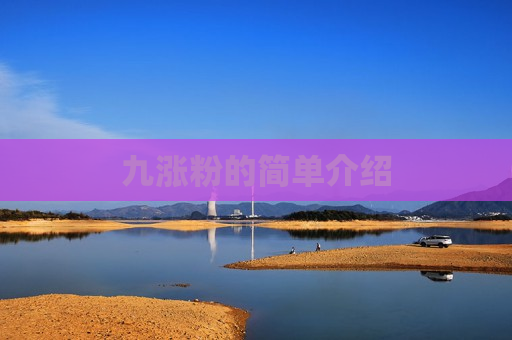 九涨粉的简单介绍