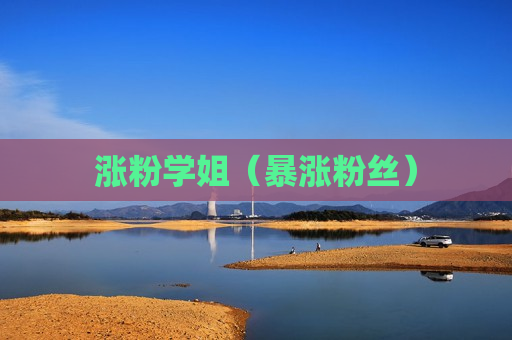 涨粉学姐（暴涨粉丝）