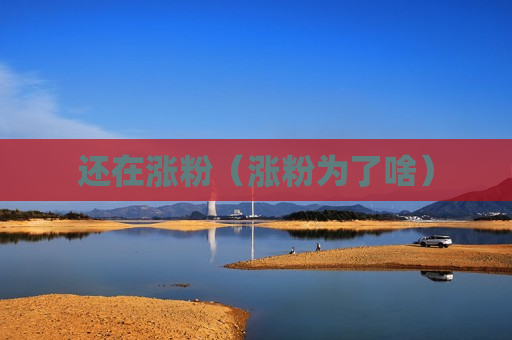 还在涨粉（涨粉为了啥）
