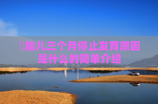 ​胎儿三个月停止发育原因是什么的简单介绍