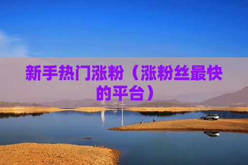 新手热门涨粉（涨粉丝最快的平台）