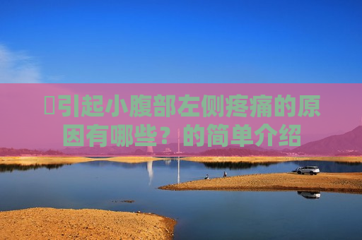 ​引起小腹部左侧疼痛的原因有哪些？的简单介绍