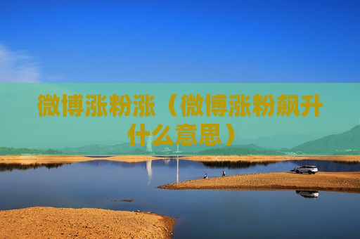 微博涨粉涨（微博涨粉飙升什么意思）
