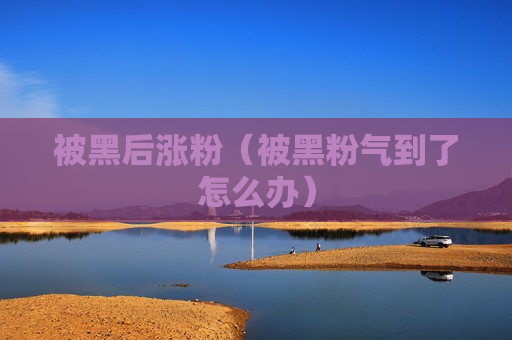被黑后涨粉（被黑粉气到了怎么办）