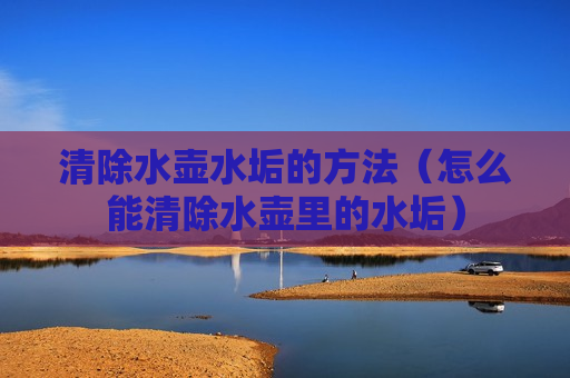 清除水壶水垢的方法（怎么能清除水壶里的水垢）