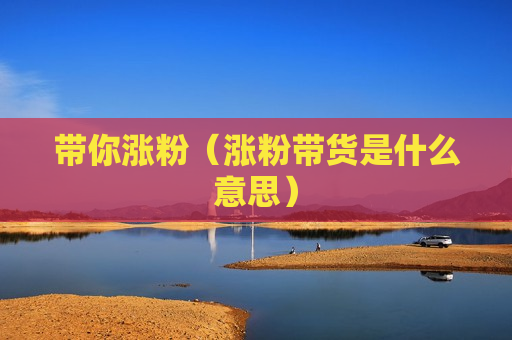 带你涨粉（涨粉带货是什么意思）