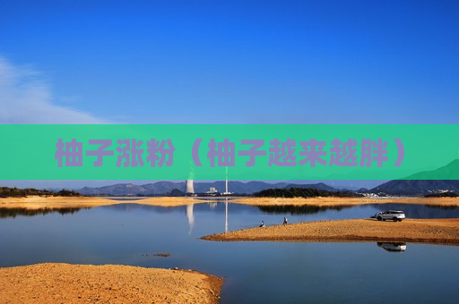 柚子涨粉（柚子越来越胖）