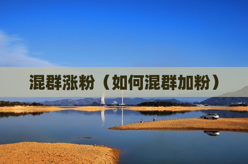混群涨粉（如何混群加粉）
