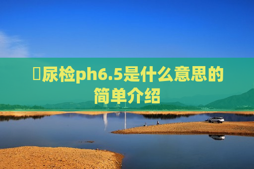 ​尿检ph6.5是什么意思的简单介绍