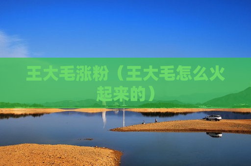 王大毛涨粉（王大毛怎么火起来的）