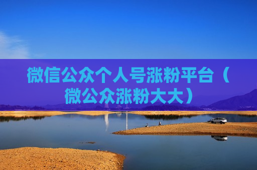 微信公众个人号涨粉平台（微公众涨粉大大）