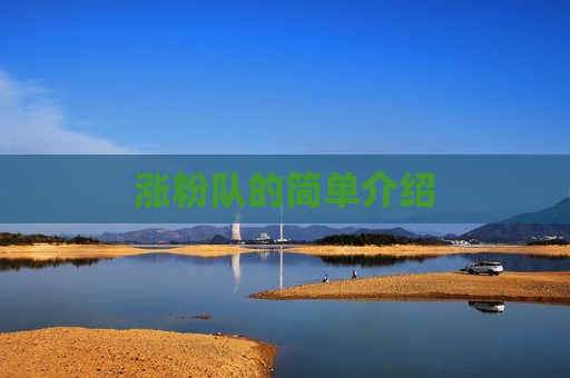 涨粉队的简单介绍