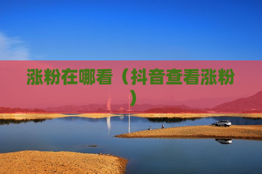 涨粉在哪看（抖音查看涨粉）