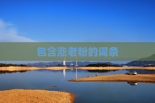 包含涨老粉的词条