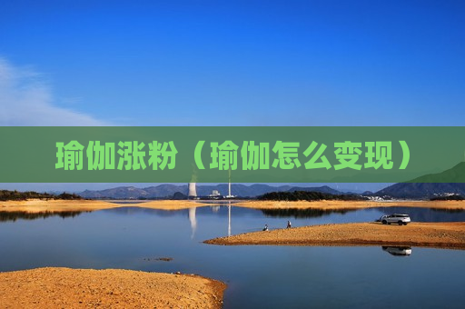 瑜伽涨粉（瑜伽怎么变现）