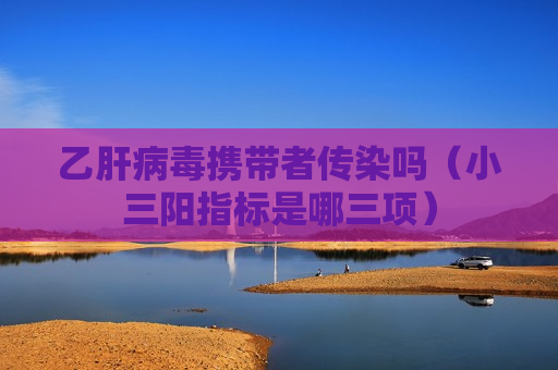 乙肝病毒携带者传染吗（小三阳指标是哪三项）