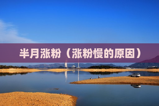 半月涨粉（涨粉慢的原因）