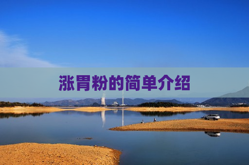 涨胃粉的简单介绍
