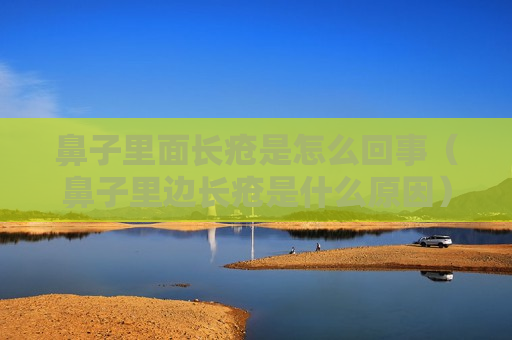 鼻子里面长疮是怎么回事（鼻子里边长疮是什么原因）
