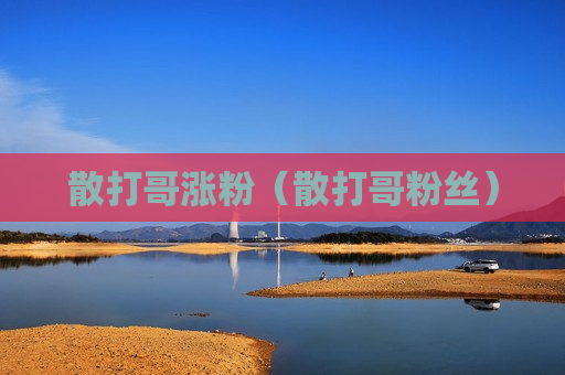 散打哥涨粉（散打哥粉丝）