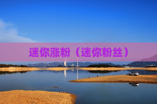 迷你涨粉（迷你粉丝）
