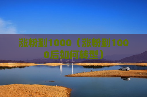 涨粉到1000（涨粉到1000后如何转型）