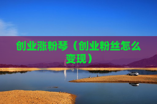 创业涨粉琴（创业粉丝怎么变现）