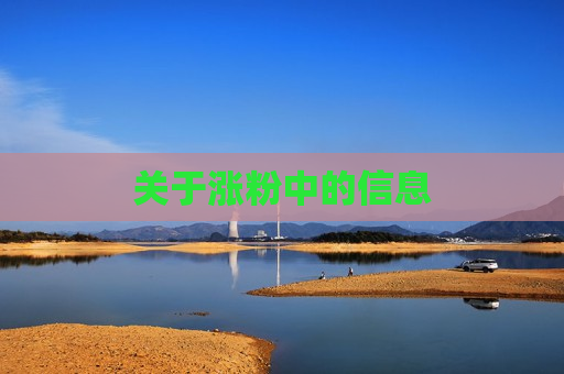 关于涨粉中的信息
