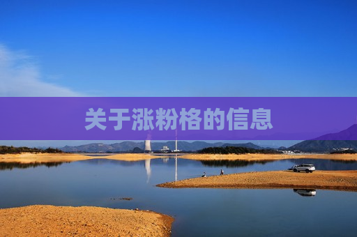 关于涨粉格的信息