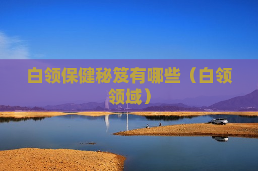 白领保健秘笈有哪些（白领领域）
