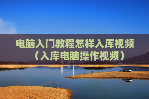 电脑入门教程怎样入库视频（入库电脑操作视频）