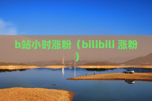 b站小时涨粉（bilibili 涨粉）