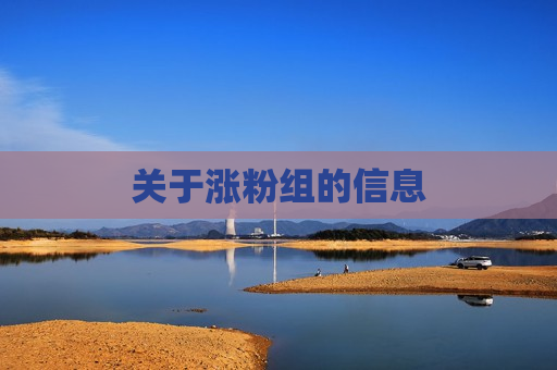 关于涨粉组的信息