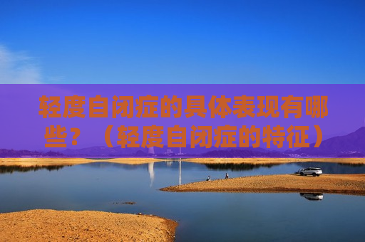 轻度自闭症的具体表现有哪些？（轻度自闭症的特征）
