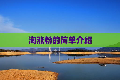 淘涨粉的简单介绍