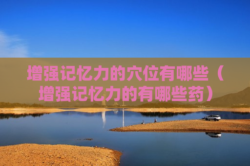 增强记忆力的穴位有哪些（增强记忆力的有哪些药）