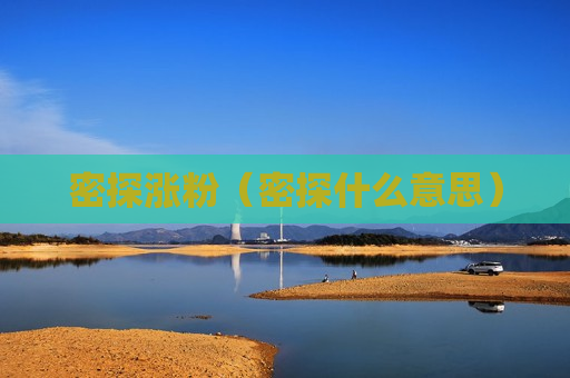 密探涨粉（密探什么意思）