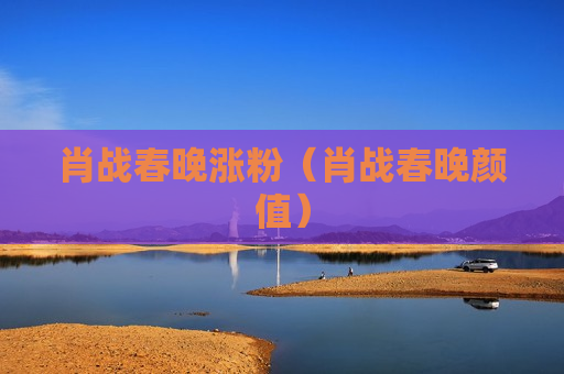 肖战春晚涨粉（肖战春晚颜值）