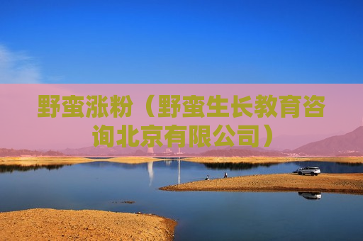 野蛮涨粉（野蛮生长教育咨询北京有限公司）