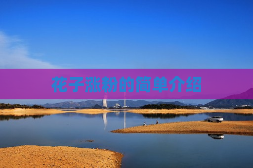 花子涨粉的简单介绍