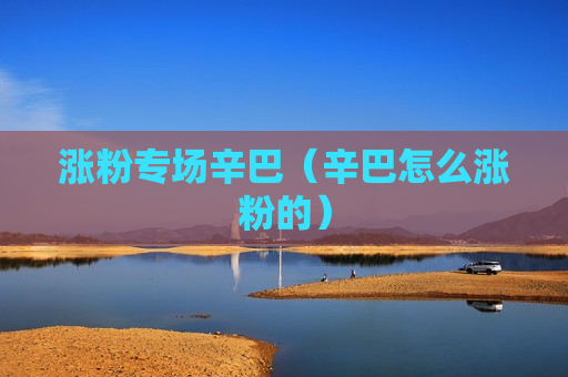 涨粉专场辛巴（辛巴怎么涨粉的）