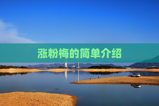 涨粉梅的简单介绍