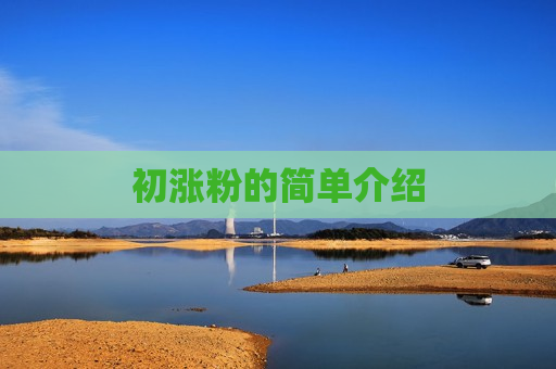 初涨粉的简单介绍