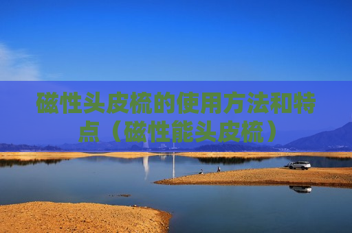 磁性头皮梳的使用方法和特点（磁性能头皮梳）