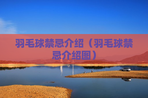 羽毛球禁忌介绍（羽毛球禁忌介绍图）