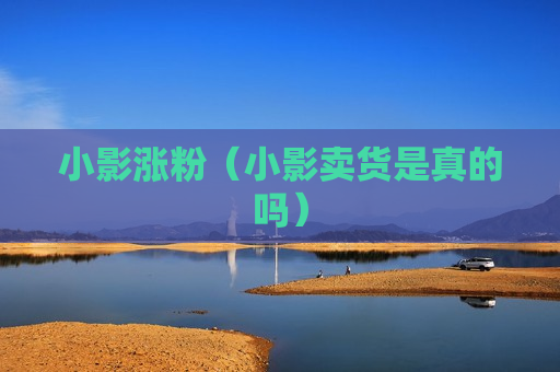 小影涨粉（小影卖货是真的吗）