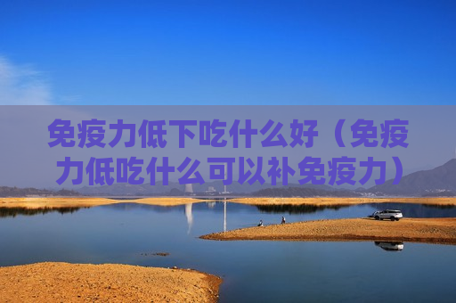 免疫力低下吃什么好（免疫力低吃什么可以补免疫力）