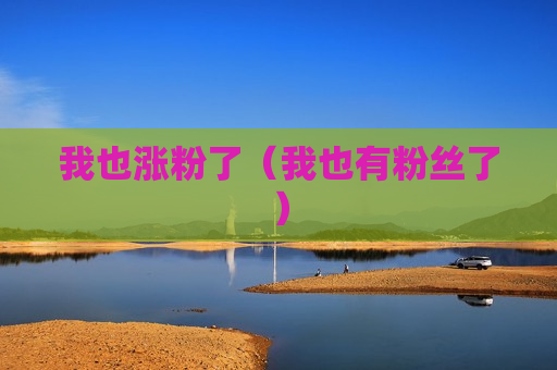 我也涨粉了（我也有粉丝了）
